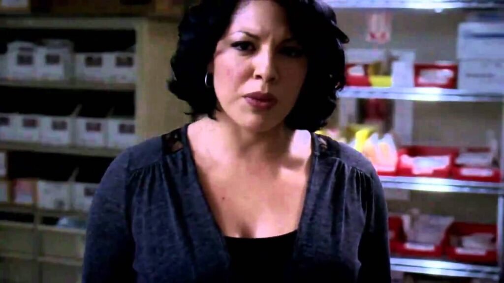 Song Beneath The Song -Grey’s Anatomy Episodes 